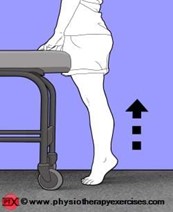 Ασκησιολόγιο αχιλλείου τένοντα - Σήκωμα φτέρνας από όρθια θέση και με τα δύο πόδια