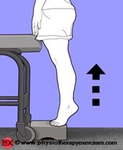 Ασκησιολόγιο αχιλλείου τένοντα - Σήκωμα φτέρνας από όρθια θέση και με τα 2 πόδια σε σκαλοπάτι